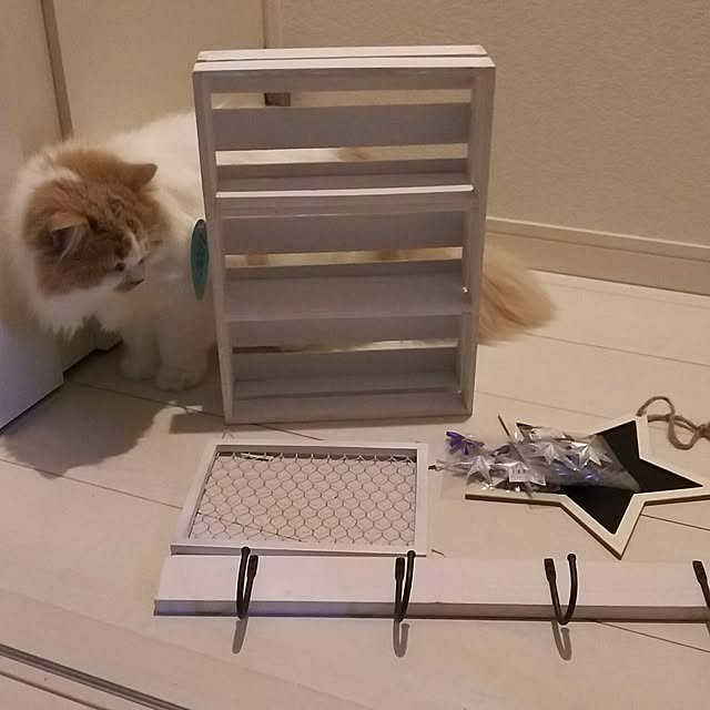 nonkoさんの実例写真