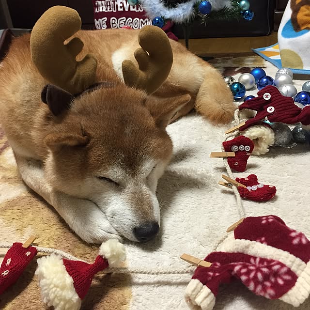 htm.さんの実例写真