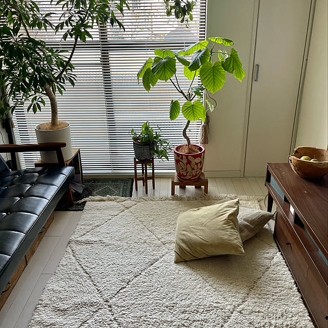 izuboさんの実例写真