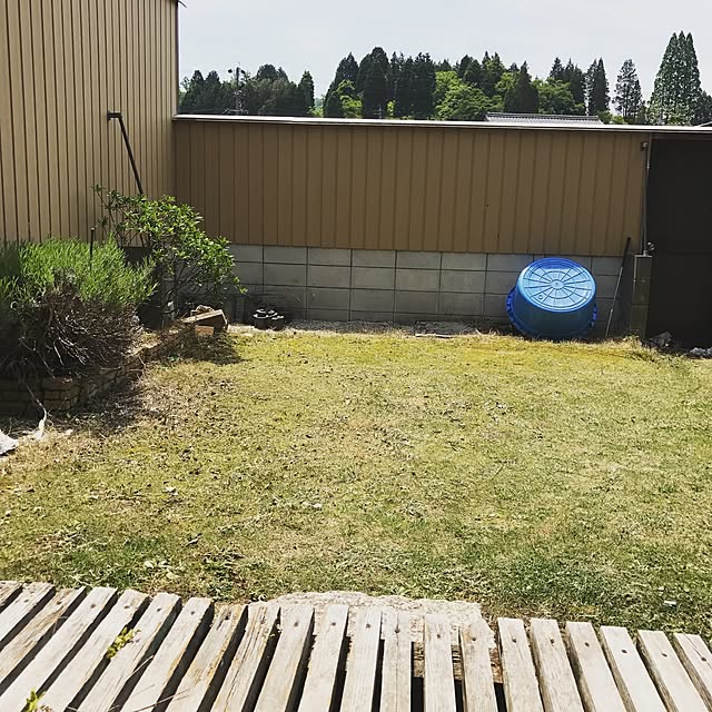 riuriuさんの実例写真