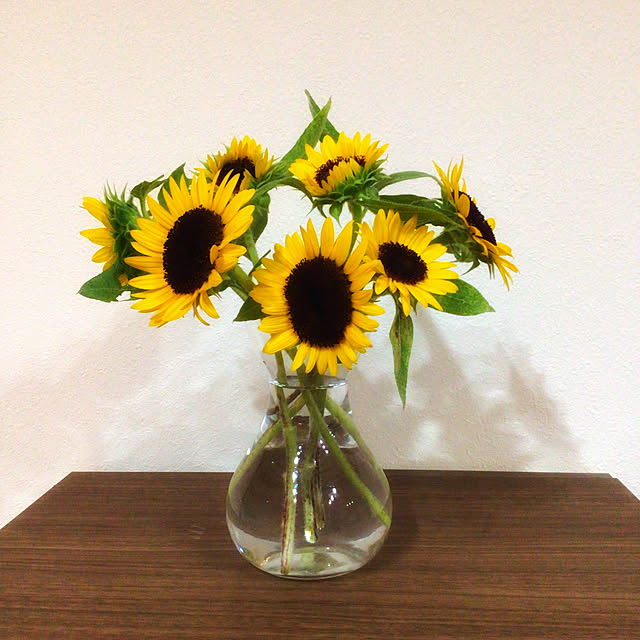 houenさんの実例写真