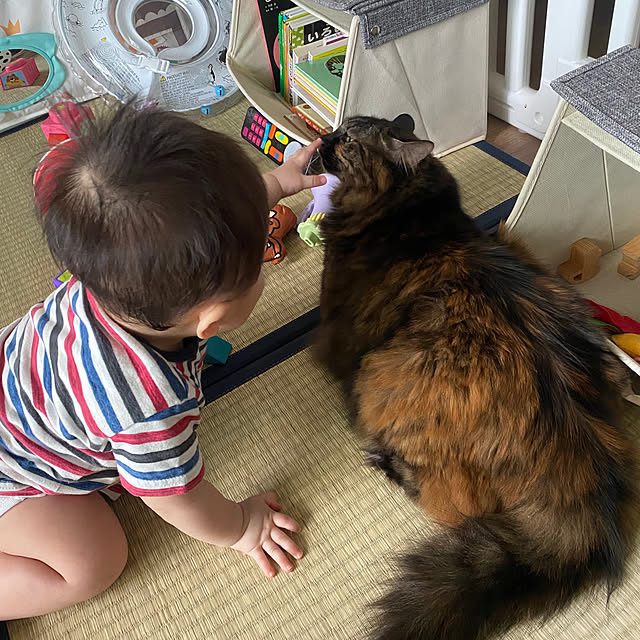 mikomaruさんの実例写真