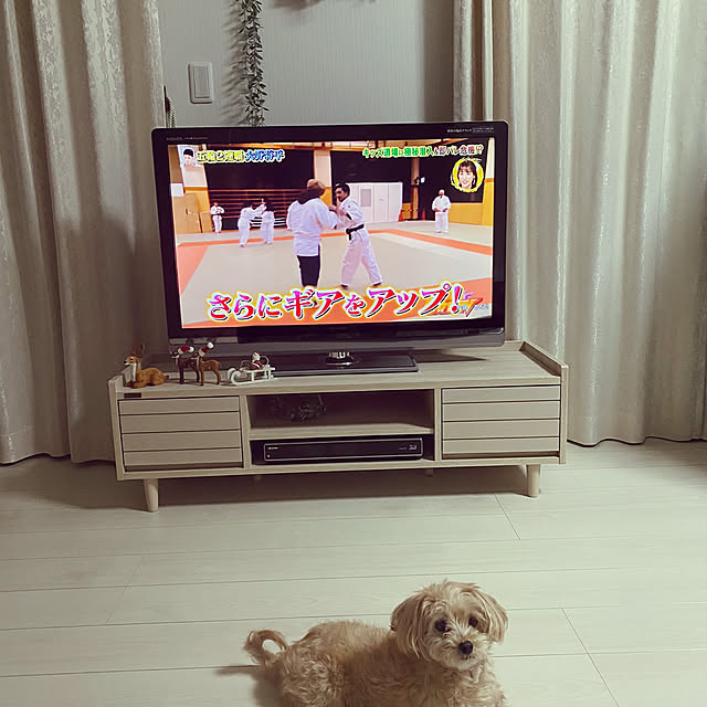 miyumiyuさんの実例写真