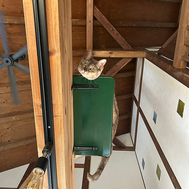 PU930さんの実例写真