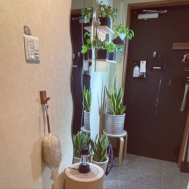 Harumiさんの実例写真