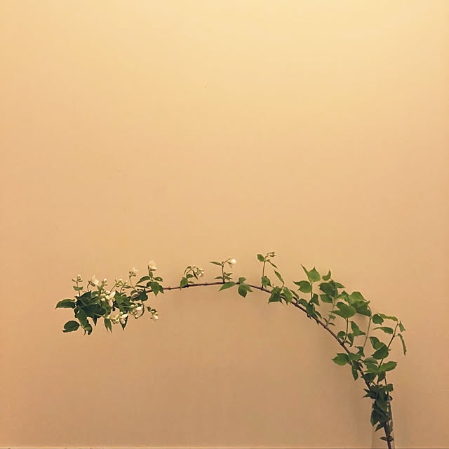 Marikoさんの実例写真