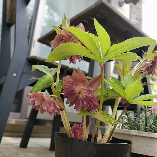 MARIE.color.interiorさんの部屋