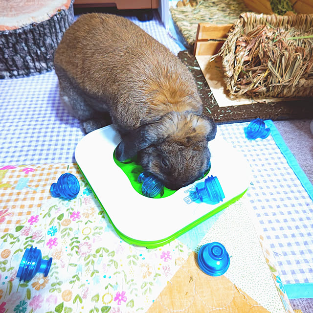 mariaさんの実例写真