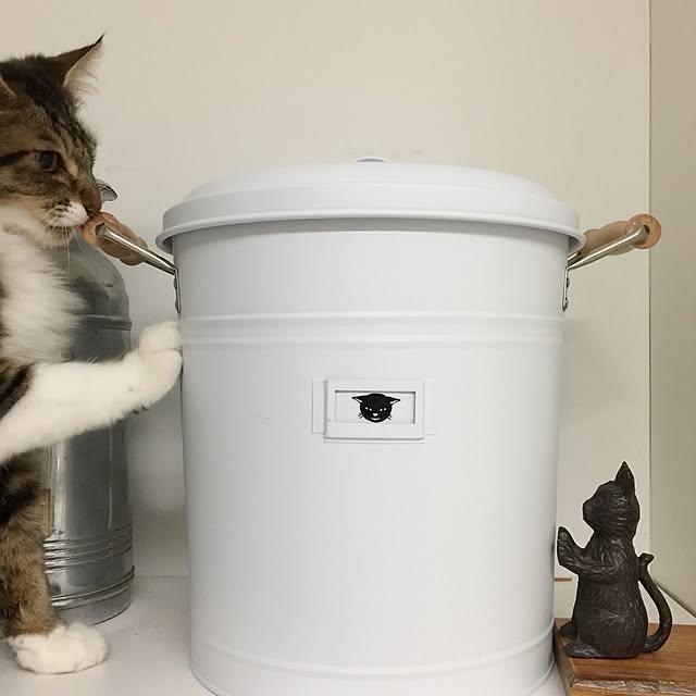 yuchiさんの実例写真
