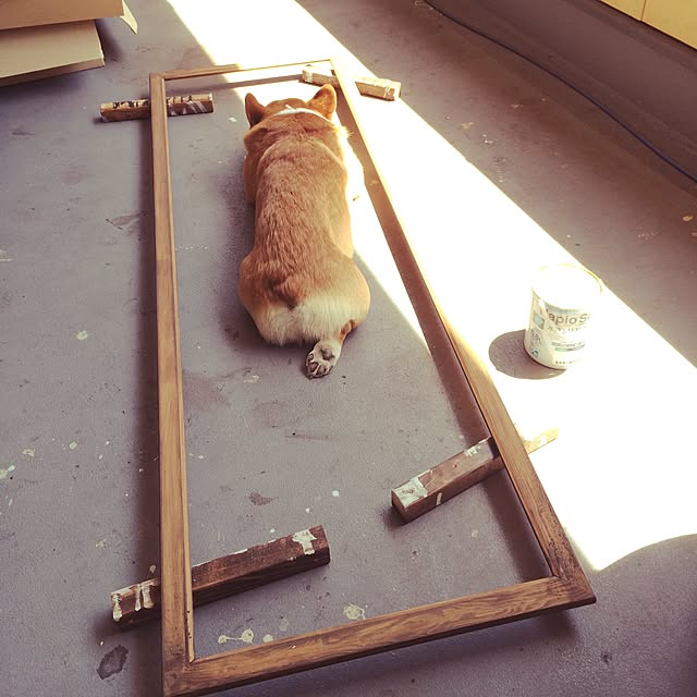 noraさんの実例写真