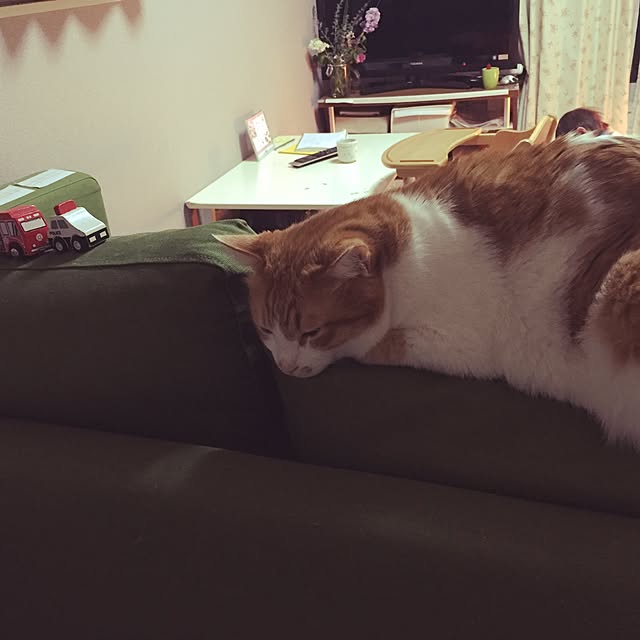 nanonさんの実例写真