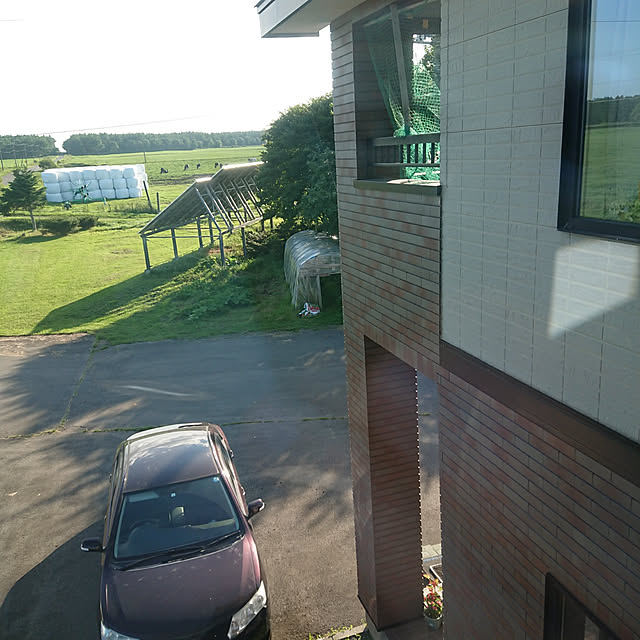 玄関/入り口/写真マーク 多い(>_<)/部屋からの眺めのインテリア実例 - 2020-08-12 16:22:31