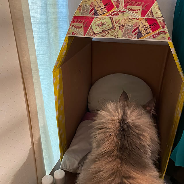 mayumiさんの部屋
