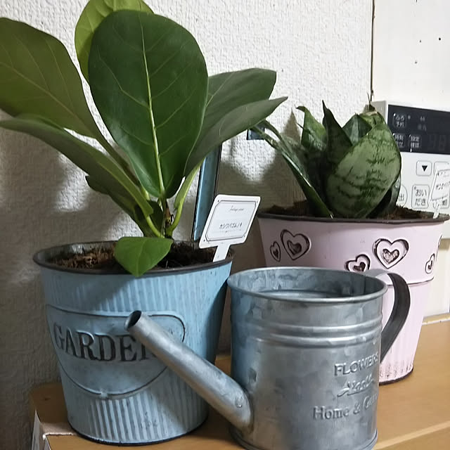 me_ta_815さんの実例写真