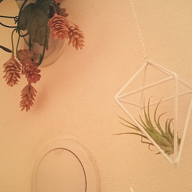 Makikoさんの実例写真