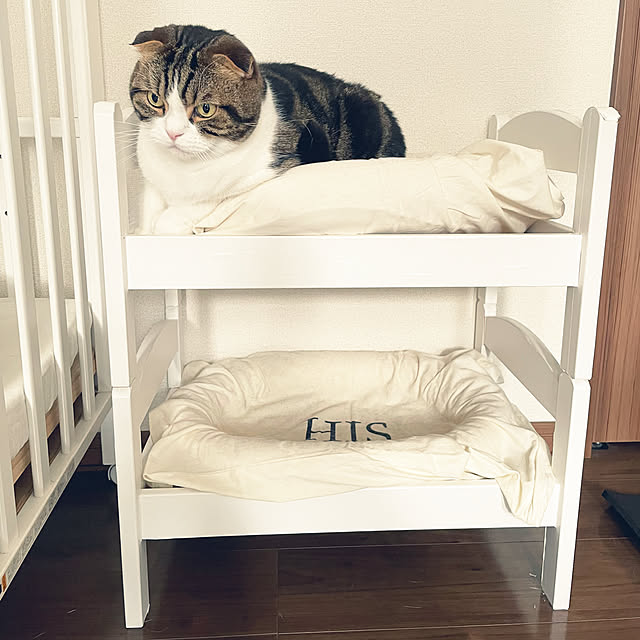 tansukeさんの部屋