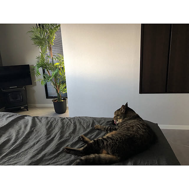 30_homeさんの実例写真