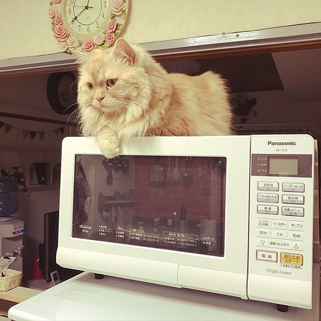 roseさんの実例写真