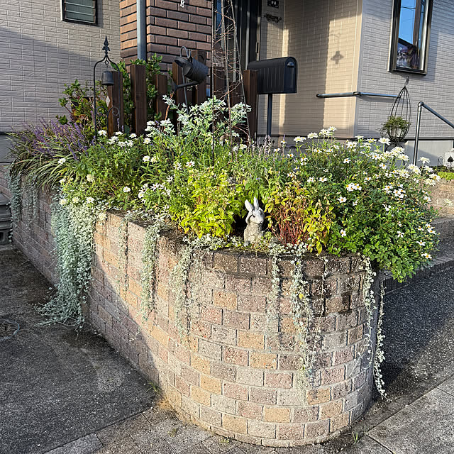 yumirilさんの部屋