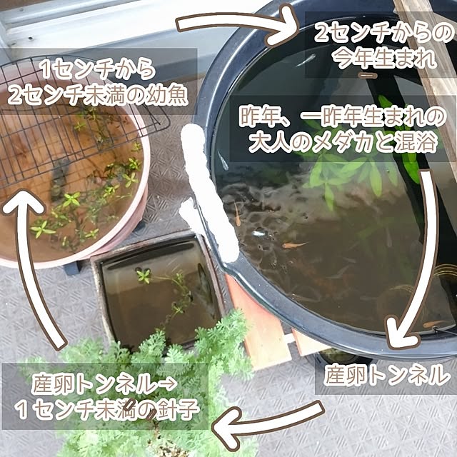 mi-saさんの部屋