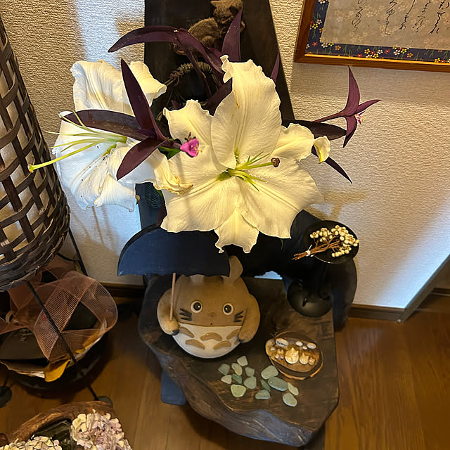 ritsukoさんの部屋