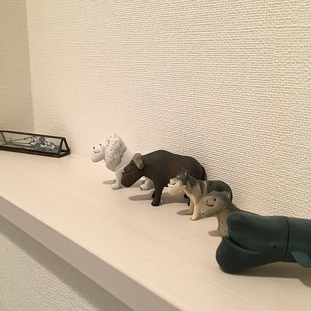 coelacanthさんの実例写真