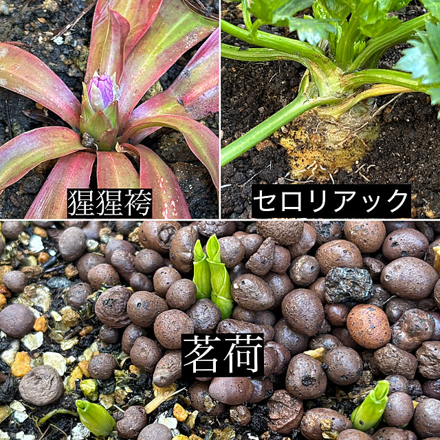 faunさんの実例写真