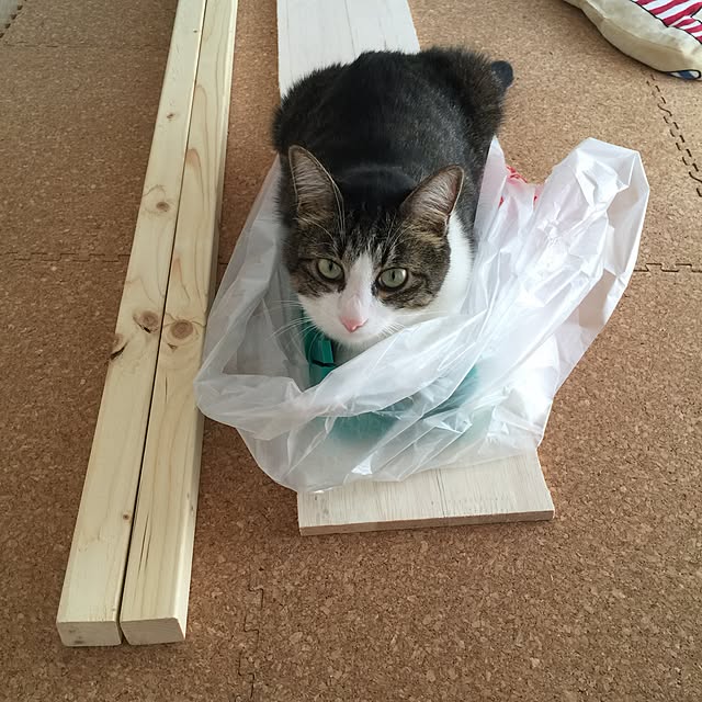 miruさんの実例写真