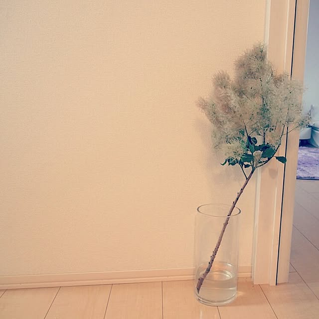 Chihiroさんの実例写真