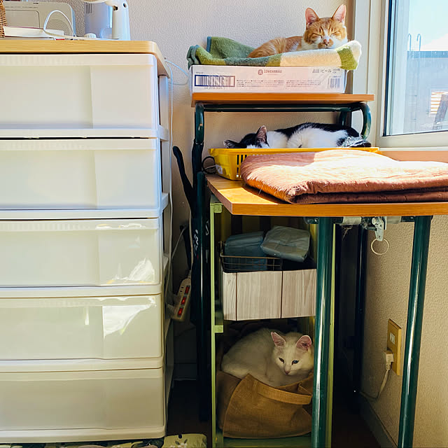 SHIHOさんの実例写真