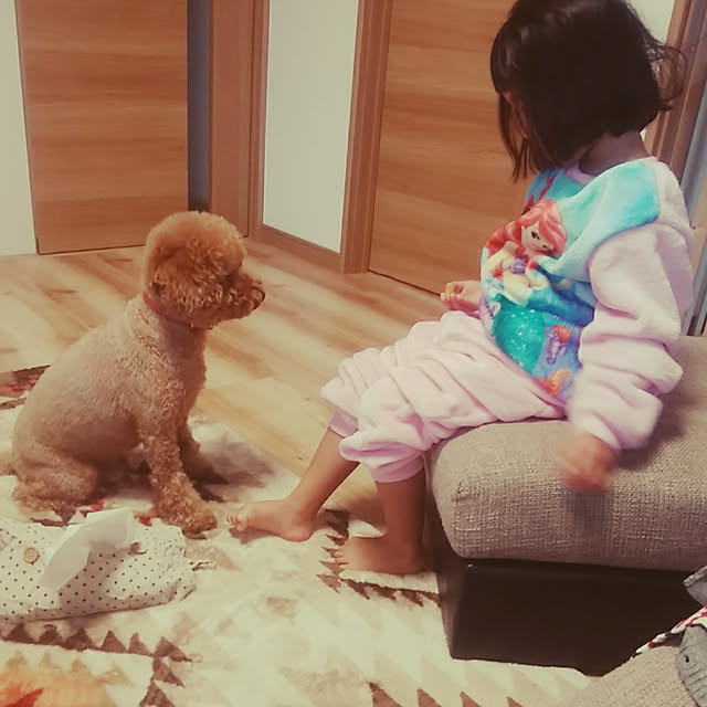 kotaroさんの実例写真