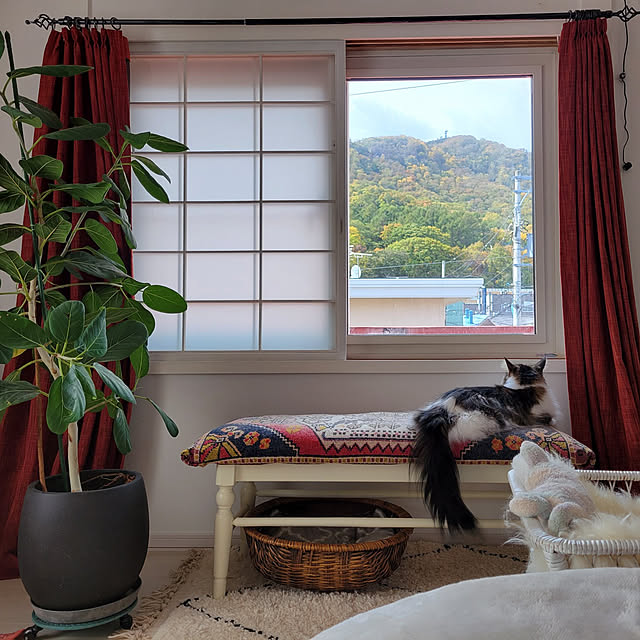 neoさんの実例写真