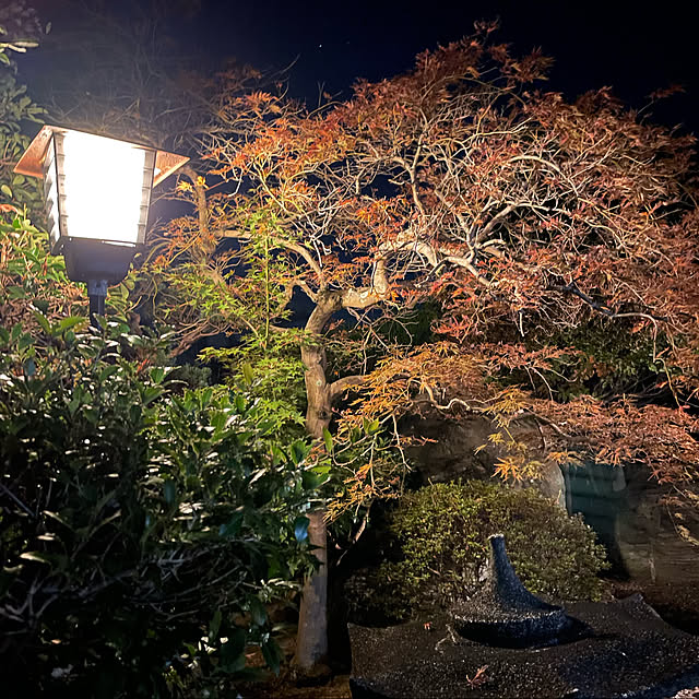 shin0719さんの実例写真