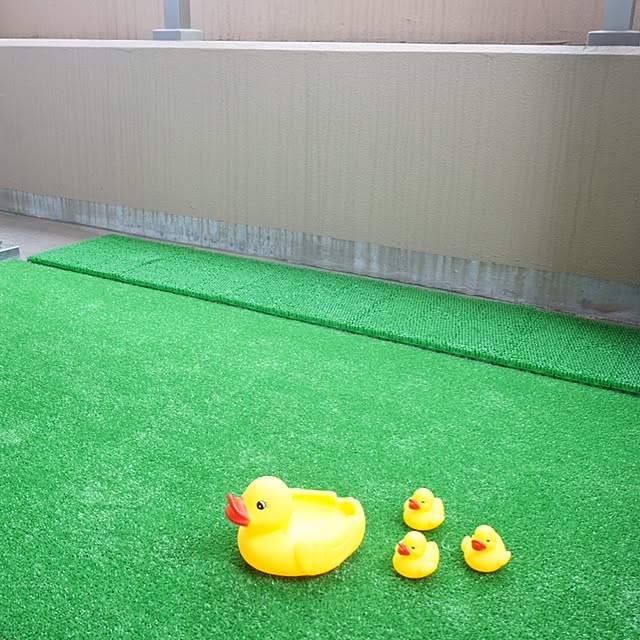 akosanさんの実例写真