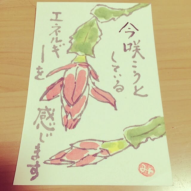 実例写真