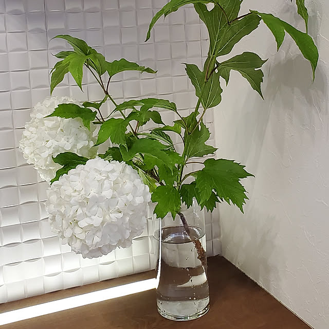 ramuramuさんの実例写真