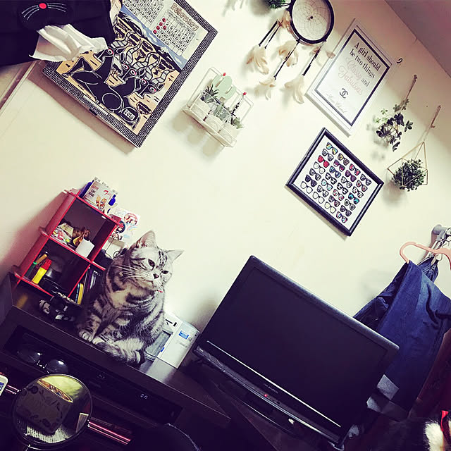 kohadaさんの実例写真