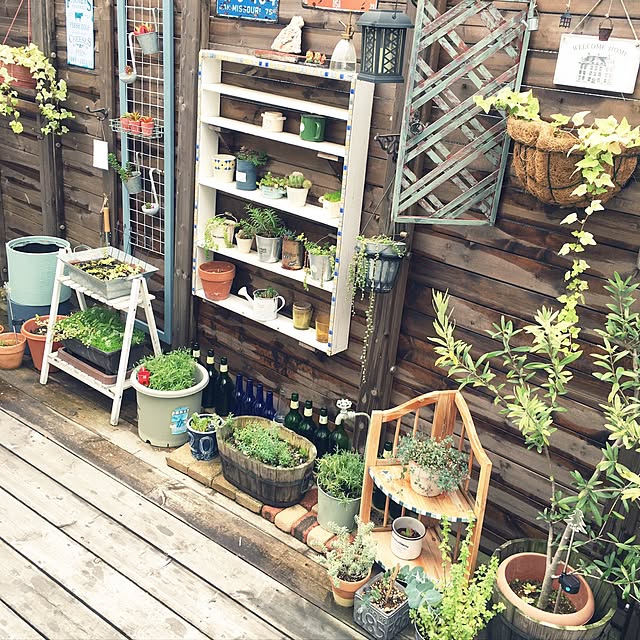 SUNNYDAYさんの実例写真