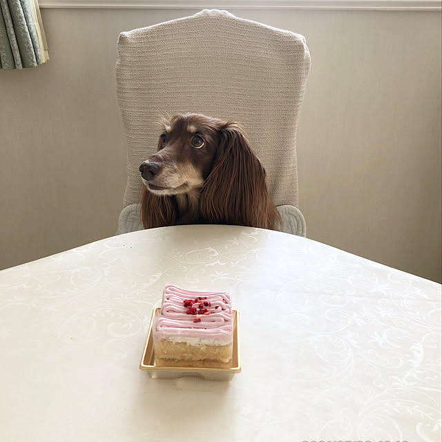 choco-curiさんの実例写真