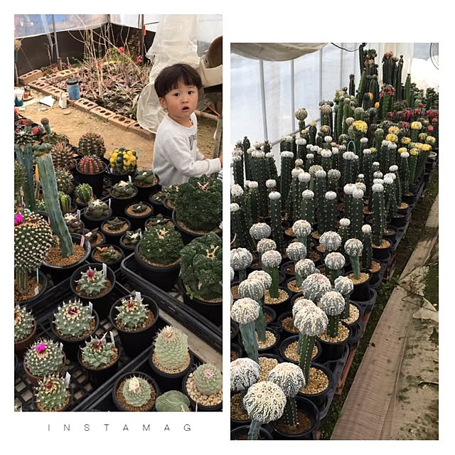 SLRNさんの実例写真