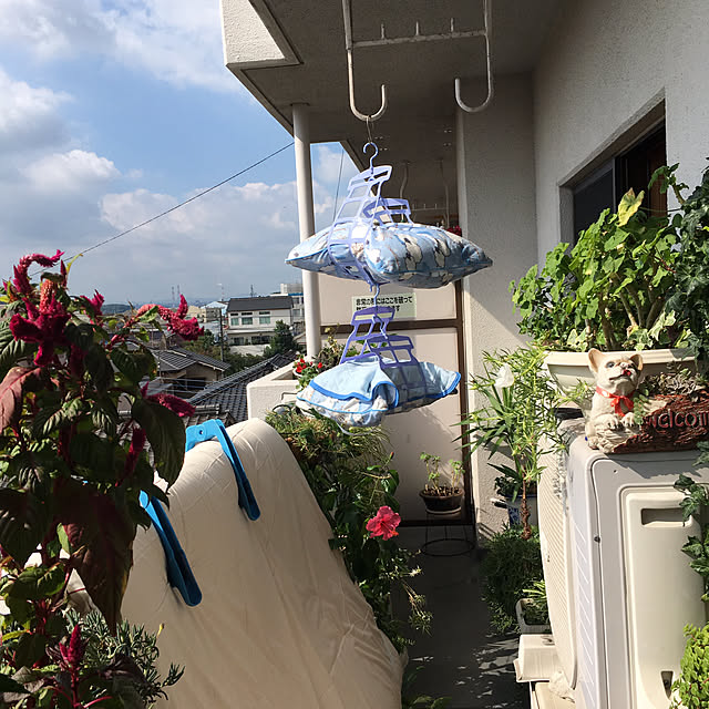 nanaさんの実例写真
