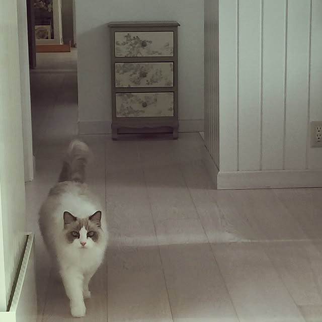 yuchiさんの実例写真