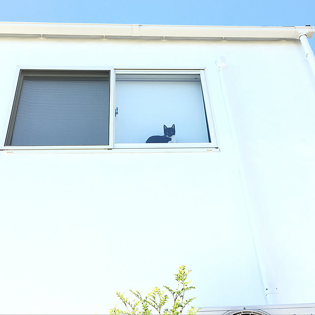 blanchomeさんの実例写真