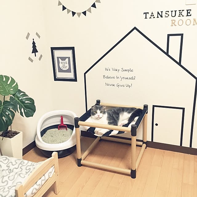 tansukeさんの実例写真