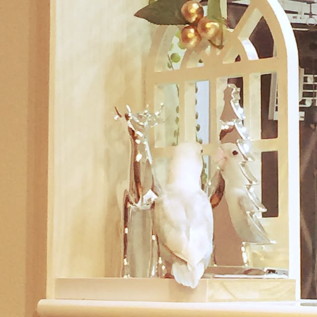hanakoさんの実例写真