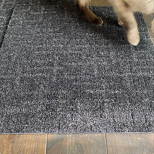 capelさんの部屋