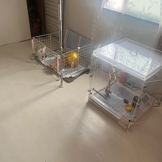 pitさんの実例写真