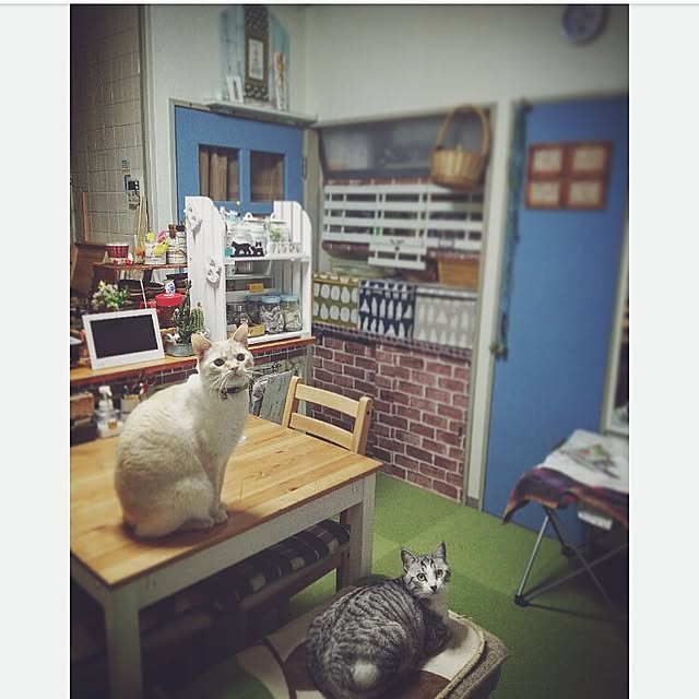mntcさんの実例写真