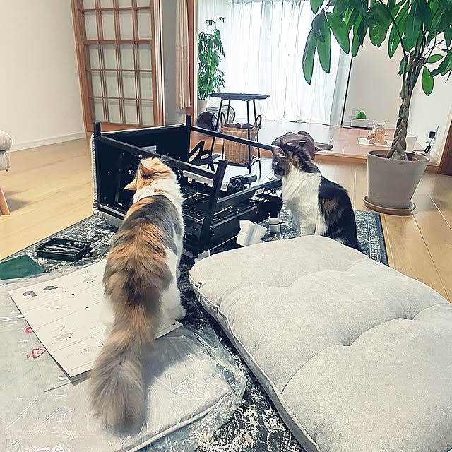 +CHIHARU+さんの部屋