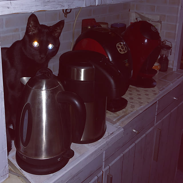 julyさんの実例写真